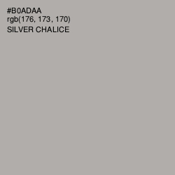 #B0ADAA - Silver Chalice Color Image